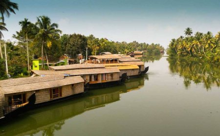 Wandering Through the Clouds: A Travel Diary from Munnar