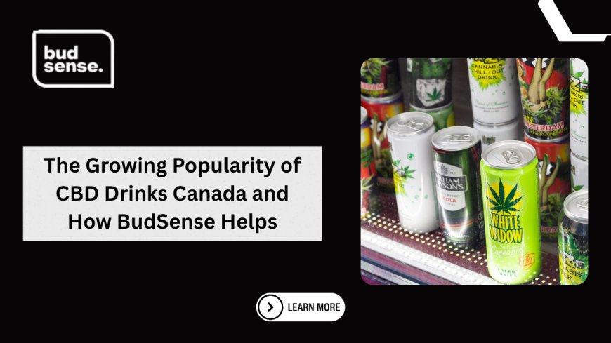 The Growing Popularity of CBD Drinks Canada and How BudSense Helps