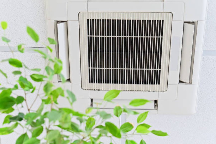 What Are the Indicators That Your Madison Home Requires Eco Air Duct Cleaning