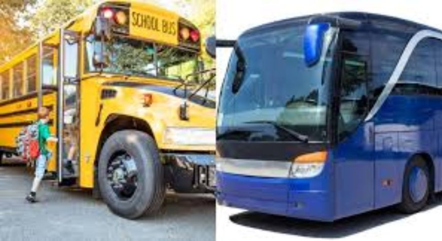 What Parents Need to Know About School Bus Charter Services | Safety & Planning Guide