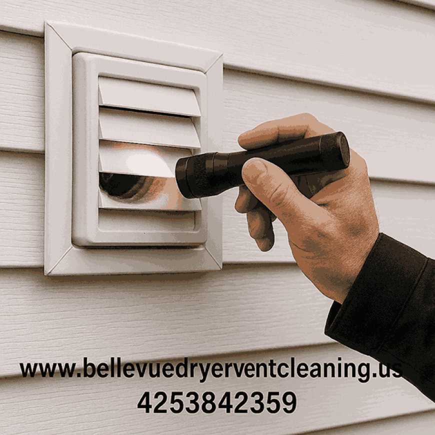 How does professional Dryer Vent Cover Replacement work in Bellevue