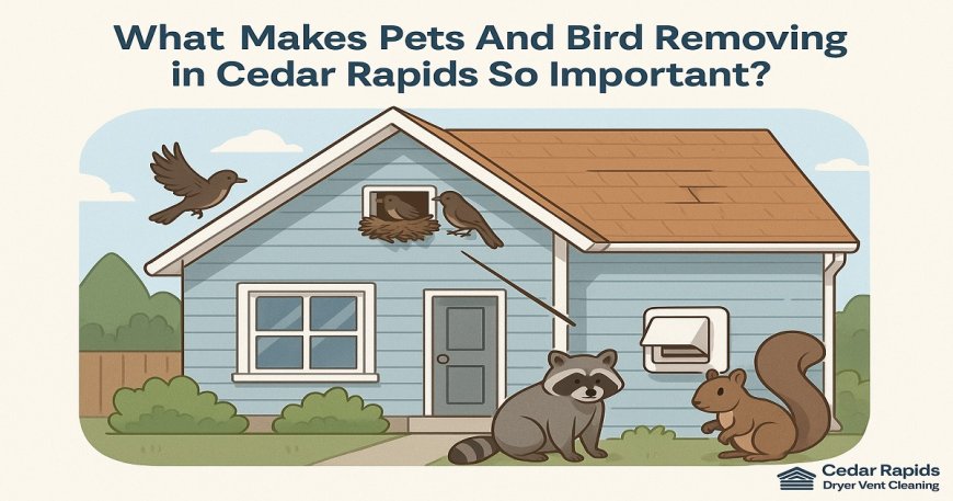 What Makes Pets And Bird Removing in Cedar Rapids So Important?