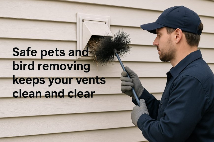 How Does Pets and Bird Removing Protect HVAC Systems in Lewisville