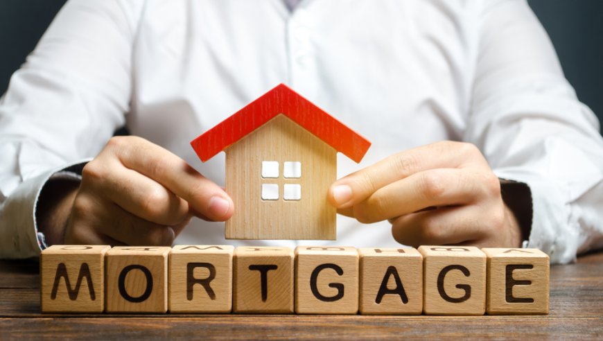 Expert Guidance for Your Property Journey: Find the Right Mortgage Advisor in Auckland & Hamilton
